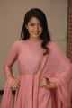 Actress Rashmika Mandanna New Photos @ Chalo Movie Success Meet