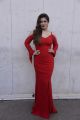 Actress Raveena Tandon Hot In Red Dress Photos