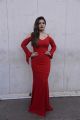 Actress Raveena Tandon Hot Red Dress Photos