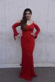 Actress Raveena Tandon Hot In Red Dress Photos