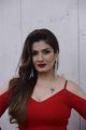 Actress Raveena Tandon Hot Red Dress Photos