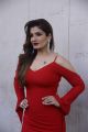 Actress Raveena Tandon Hot In Red Dress Photos