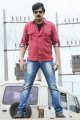 Ravi Teja Photos in Nippu Movie