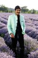Telugu Actor Ravi Teja New Photos