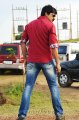 Nippu Ravi Teja Stills