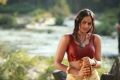 Actress Karthika Nair in Ravi Varma Movie Hot Stills