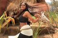 Actress Karthika Nair in Ravi Varma Movie Hot Stills