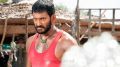 Actor Vishal in Rayudu Movie Stills