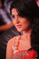 Deeksha Seth at Rebel Movie Audio Release Function Photos