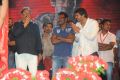 Rebel Audio Release Function Photos