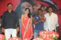 Rebel Audio Release Function Photos