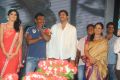 Rebel Audio Release Function Photos