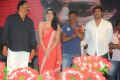 Rebel Audio Release Function Photos