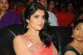 Deeksha Seth at Rebel Movie Audio Launch Photos