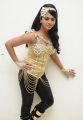 Rachana Maurya at Rebel Movie Audio Launch Stills