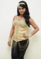 Rachana Maurya at Rebel Movie Audio Launch Stills