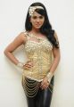 Hot Rachana Maurya at Rebel Movie Audio Launch Stills