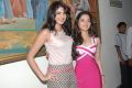 Deeksha Seth, Tamanna at Rebel Movie Trailer Launch Stills