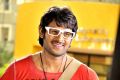 Hero Prabhas in Rebel Telugu Movie Stills