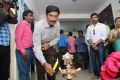 Redhan The Cinema People Production No 2 Pooja Stills