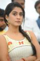 Regina Cassandra Latest Stills at Sree Leela Movies Pro No 1 movie opening