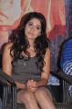 Regina Cassandra Hot Photos @ Chandee Platinum Disc Function