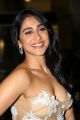 Actress Regina Hot Photos @ Filmfare Awards South 2018