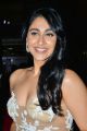 Actress Regina Cassandra Hot Photos @ 65th Jio Filmfare Awards South 2018