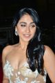 Actress Regina Cassandra Hot Photos @ South Filmfare Awards 2018