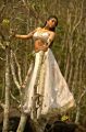 Actress Regina Cassandra Hot Stills in Nakshatram Movie