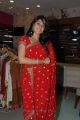 Actress Regina Cassandra in Red Embroidery Saree Beautiful Stills