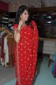 Actress Regina Cassandra in Red Embroidery Saree Beautiful Stills