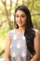 Actress Regina Cassandra Latest Images