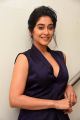 Actress Regina Cassandra HD Images @ Evaru Pre Release Event