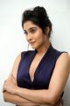 Actress Regina Cassandra New HD Images @ Evaru Pre Release Event