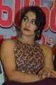 Actress Regina Cassandra Stills @ Saravanan Irukka Bayamaen Success Meet