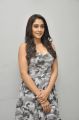 Actress Regina Cassandra Photos @ Shourya Song Teaser Launch