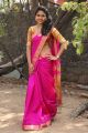 Actress Rehana in Silk Saree Stills @ Thirappu Vizha Press Meet