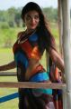 Telugu Actress Rekha Boj Hot Photoshoot Images