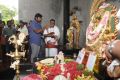 Rekka Movie Pooja Stills