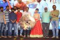 Rendu Rellu Aaru Audio Launch Stills