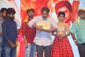 Rendu Rellu Aaru Audio Launch Stills