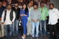 Reporter Movie Trailer Launch Stills