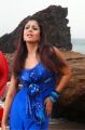 Actress Nayanthara in Reporter Tamil Movie Stills