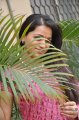 Telugu Actress Reshma Cute Saree Stills
