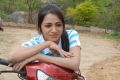 Reshma Latest Cute Pics