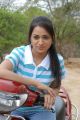 Telugu Actress Reshma Latest Cute Pics