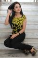 Beautiful Reshma Latest Photo Shoot Stills