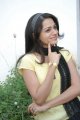 Telugu Heroine Reshma Photo Shoot Stills