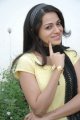 Telugu Heroine Reshma Photo Shoot Stills